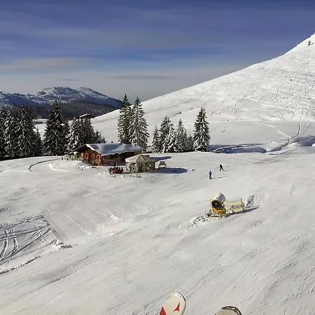 Lejlighed Schmidsendl Lofer