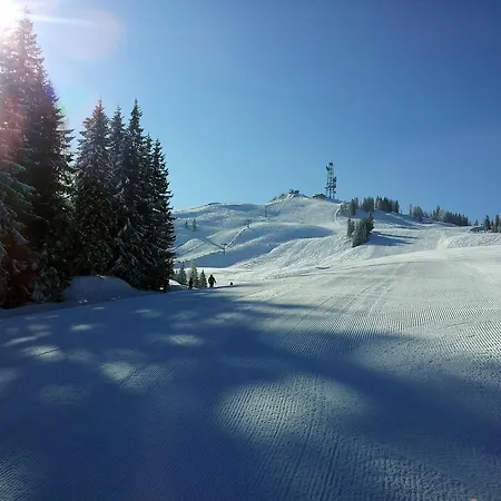 Schmidsendl Lejlighed