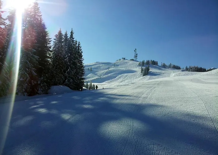 Schmidsendl Διαμέρισμα